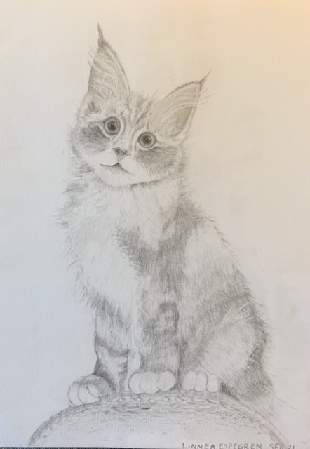 Illustration 3